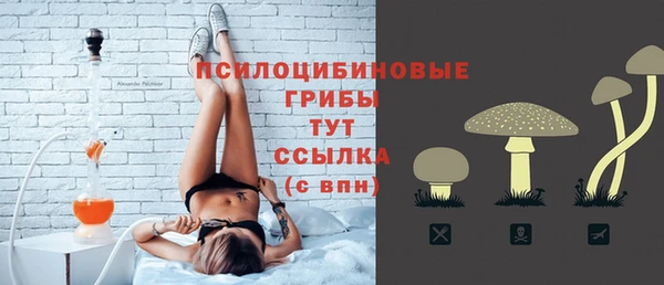 СК Арсеньев