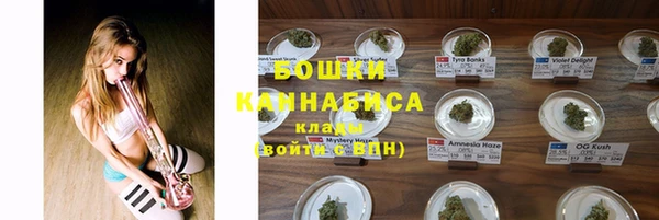 СК Арсеньев