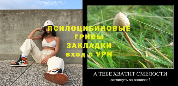 СК Арсеньев