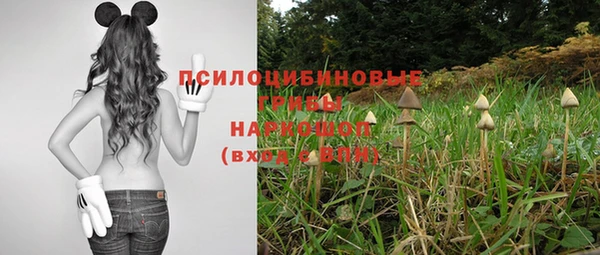 СК Арсеньев